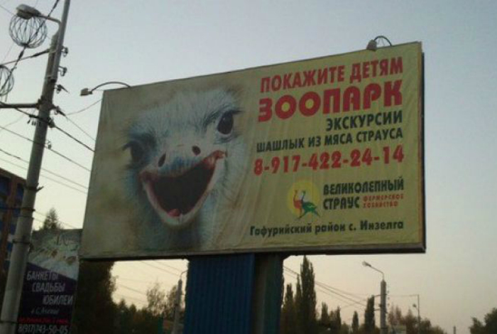 Жестокий зоопарк.