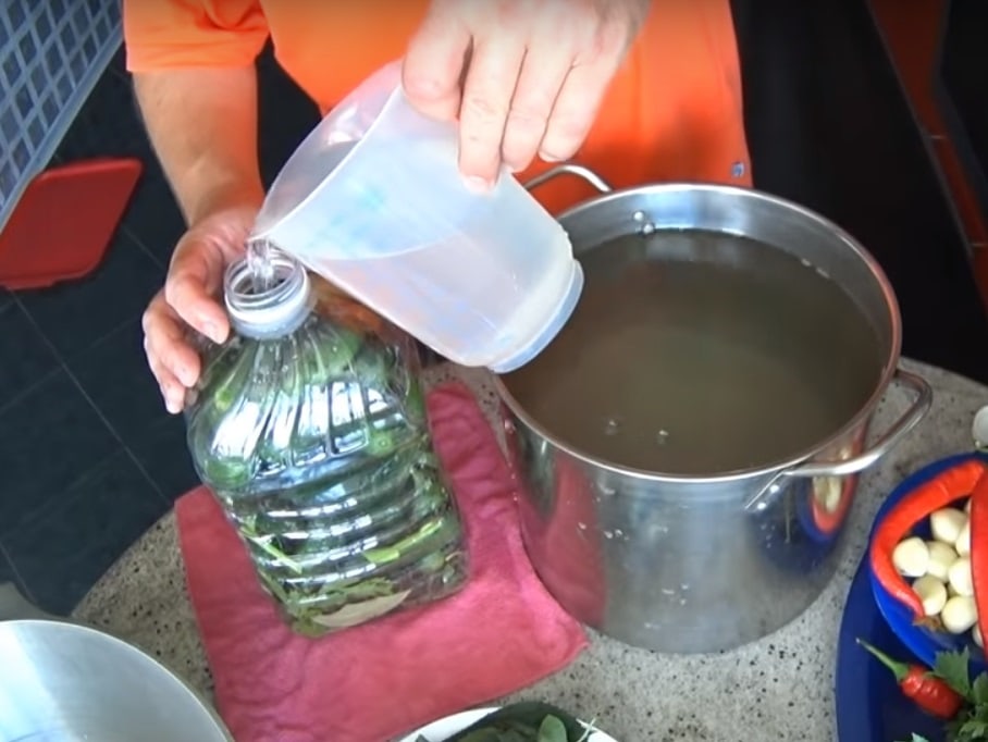 Как засолить огурцы на зиму в пластиковой бутылке