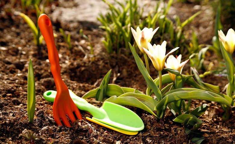 5 основных действий в весеннем саду