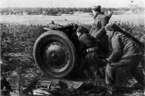 Партизанская артиллерия (1943 г.).