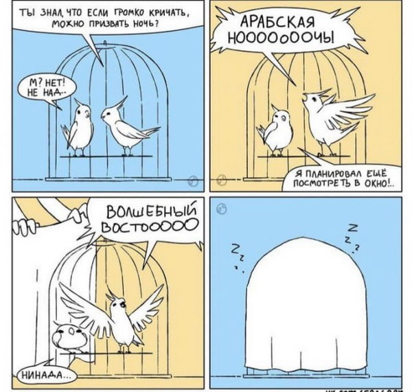 Животный юмор в картинках Животный юмор в картинках