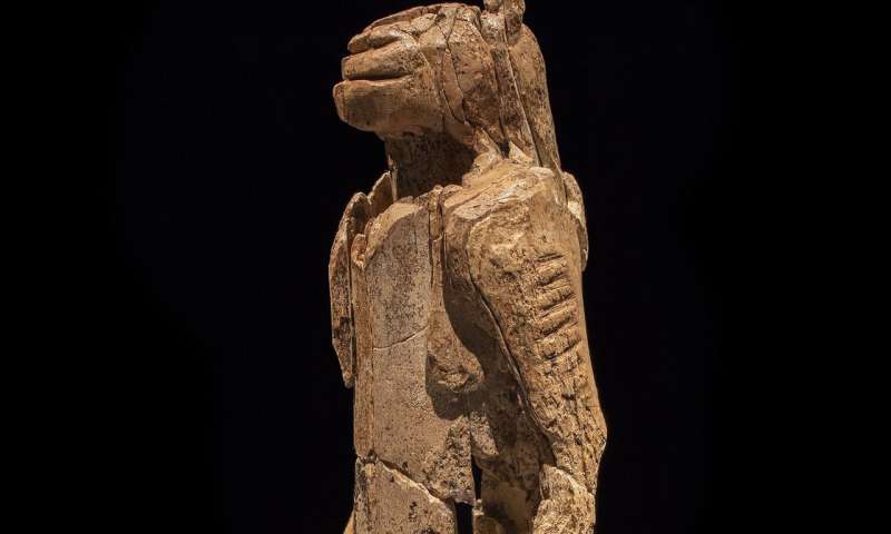 Ученые обнаружили звездные карты 40 000-летней давности, содержащие &quot;сложные знания о созвездиях&quot;, изображение №2