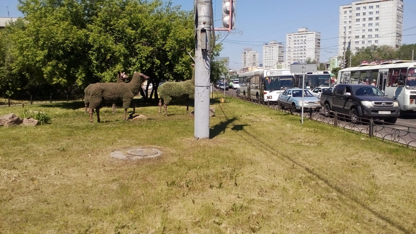 Городские зарисовки
