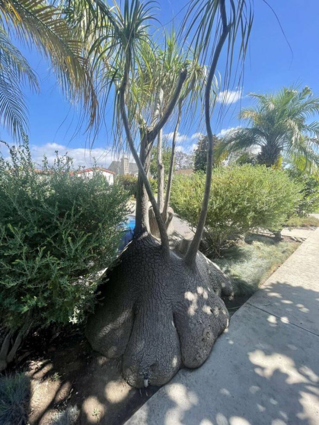 Середина недели — приколы подоспели: «Что нравится в постели?» 