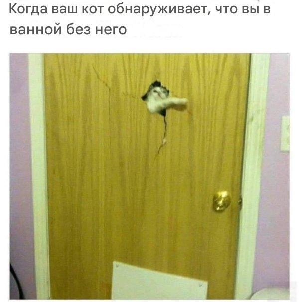 Котомемы для настроения 