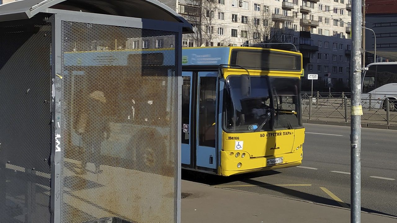 Транспортная реформа Петербурга превратила поездки на автобусах в неприятный квест