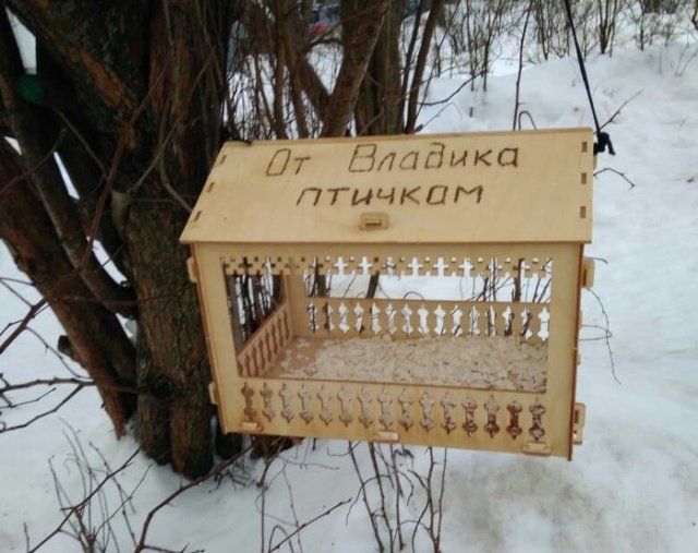 Фотоподборка вторника Фотоподборка вторника юмор