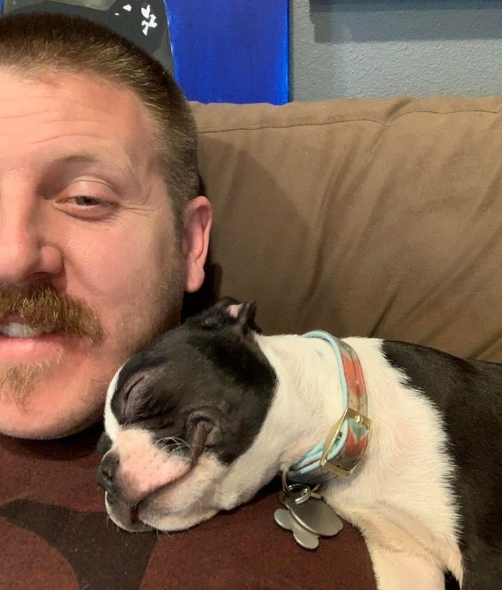 Фотографии животных для отличного настроения