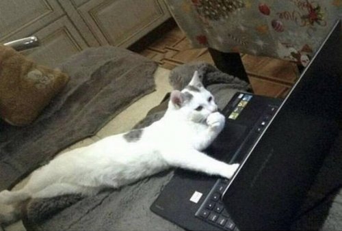 Небольшая подборка приколов Небольшая подборка приколов