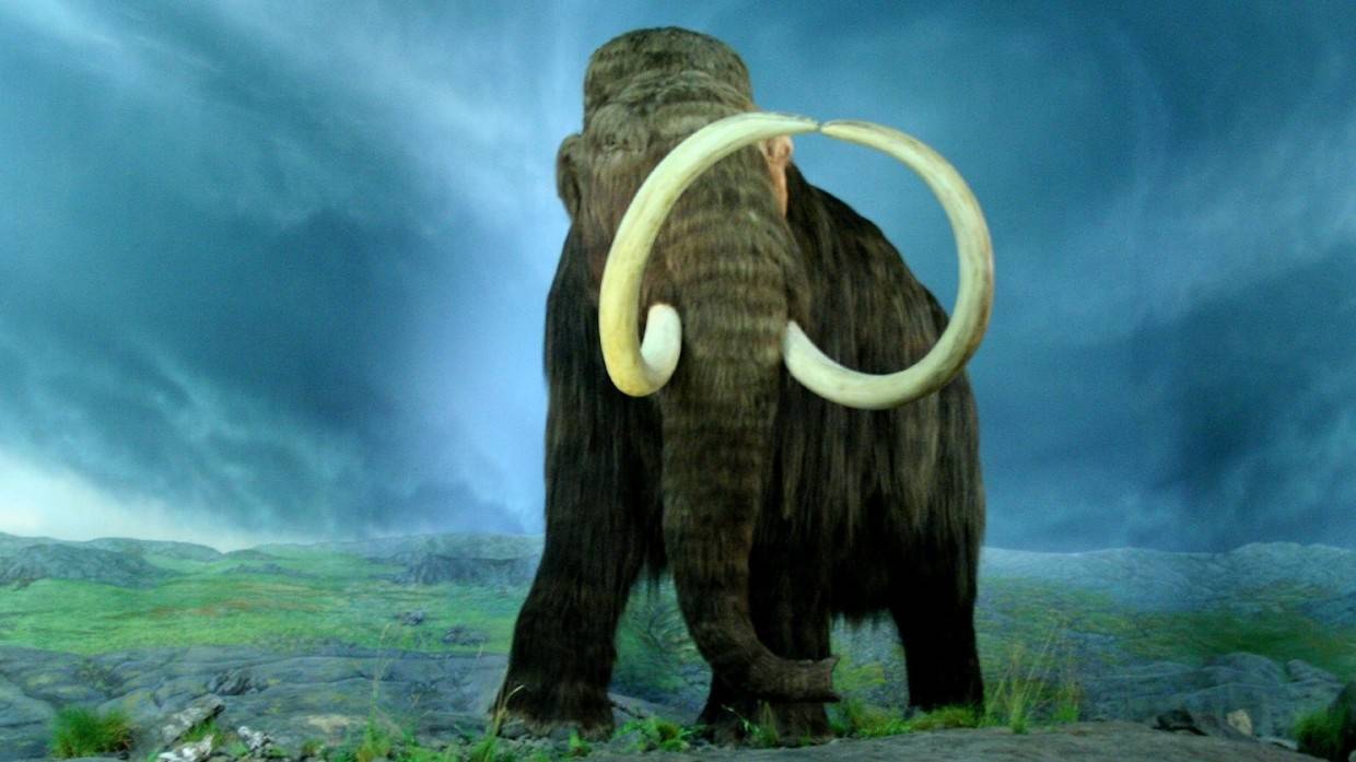 Nature: мамонты в Сибири вымерли из-за изменения климата