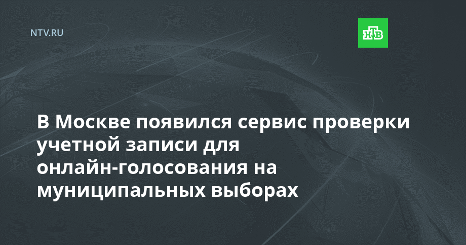 В Москве появился сервис проверки учетной записи для онлайн-голосования на выборах