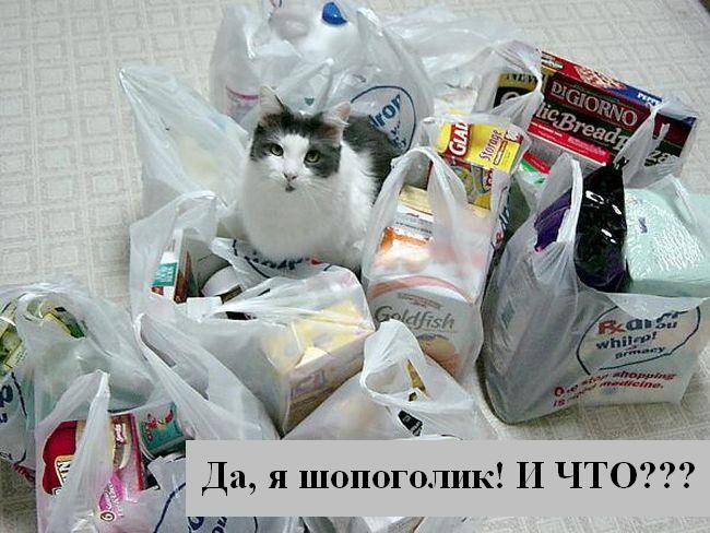 Шопоголик смешная картинка