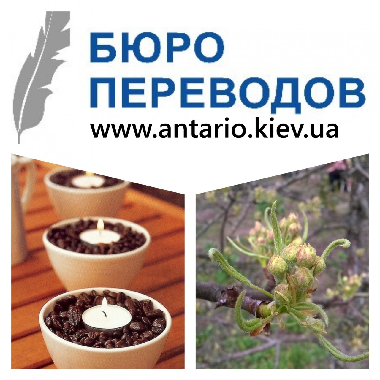 срочные и обычные переводы