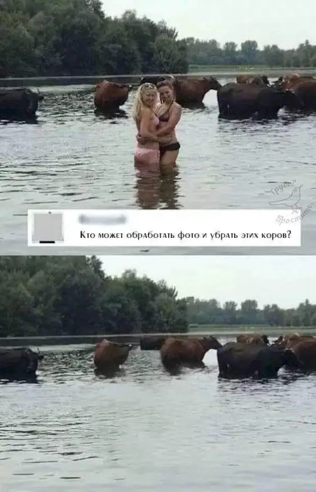 Женщины заставляют нас, мужчин, идти на безумные поступки! Например, менять постельное белье! 