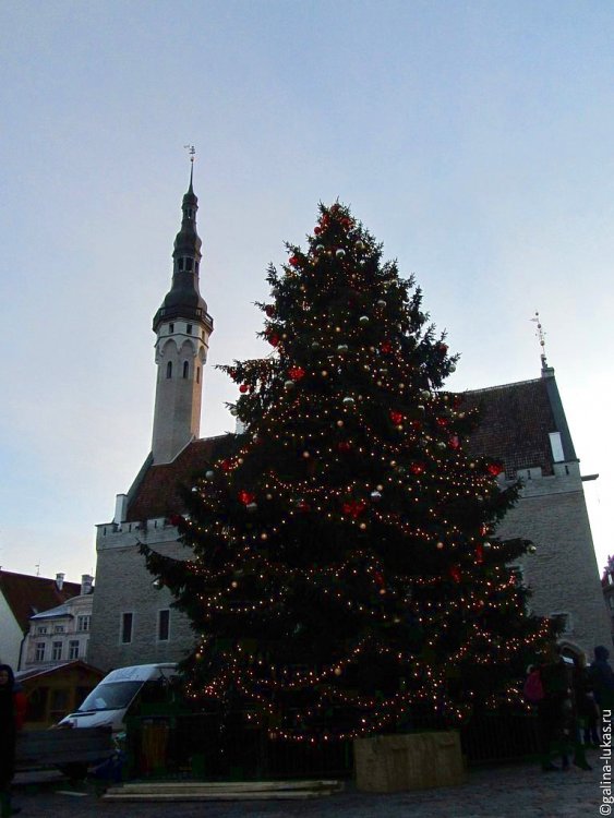 Зимние каникулы в Эстонии города, город, можно, номер, поездки, время, границу, только, нашего, часов, обратно, границы, границе, сказать, увидели, нашли, нашей, Костя, Таллин, через