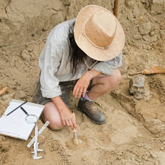 Известного археолога после смерти обвинили в фальсификации