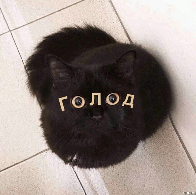 25 приколов января позитив,смешные картинки,юмор