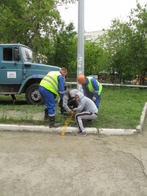 В Челябинске для спасения застрявшего котенка демонтировали фонарный столб