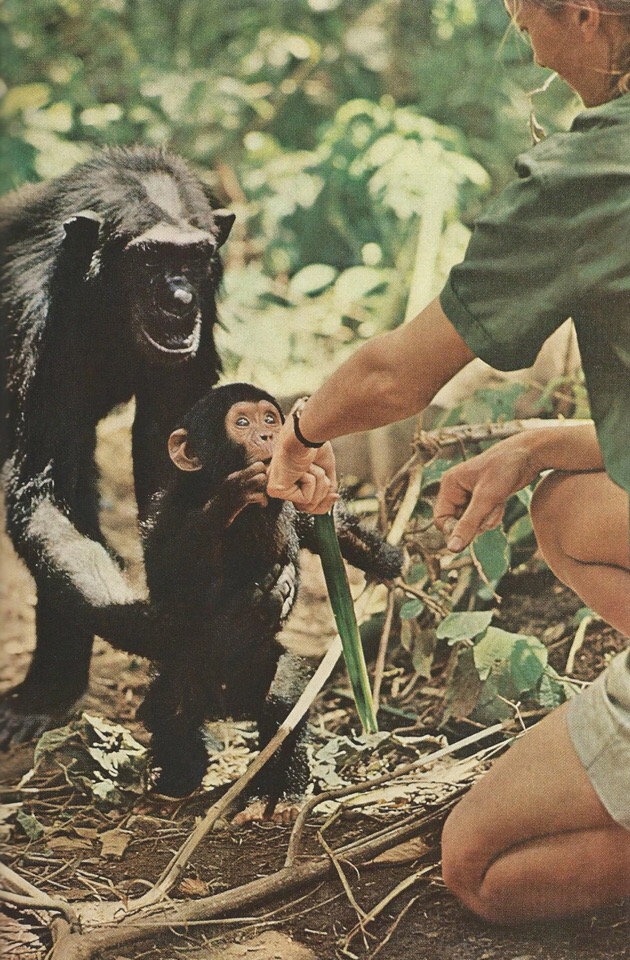 Забавные и прикольные фотографии из нашей жизни Забавные и прикольные фотографии из нашей жизни приколы,смешные картинки,угарные фотки,фото приколы