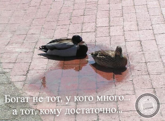 Достаточно
