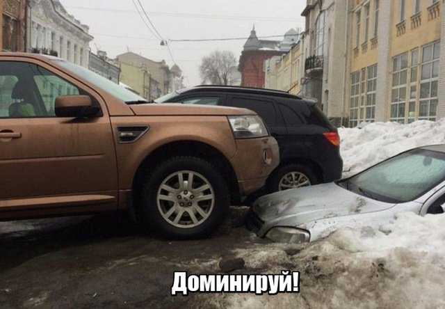 Фотоподборка среды  Юмор