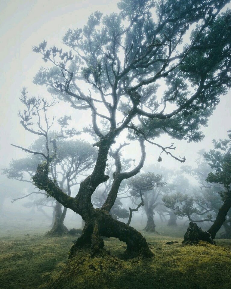 Подборка прикольных и забавных фотографий из нашей жизни красивые фотографии,прикольные картинки,угарные фотки,шикарные фотографии