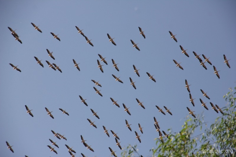 Израиль, о котором многие даже не догадываются