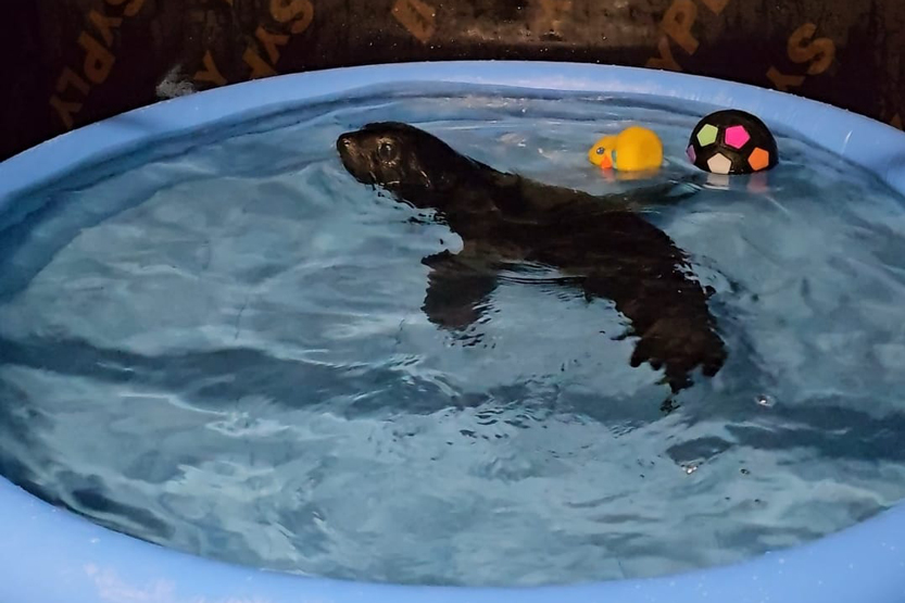 4. Без подписи