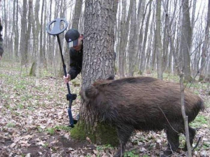 Прикольные, зачетные и шикарные фотографии из нашей жизни для хорошего настроения больше, классных, фотографий, смотрите