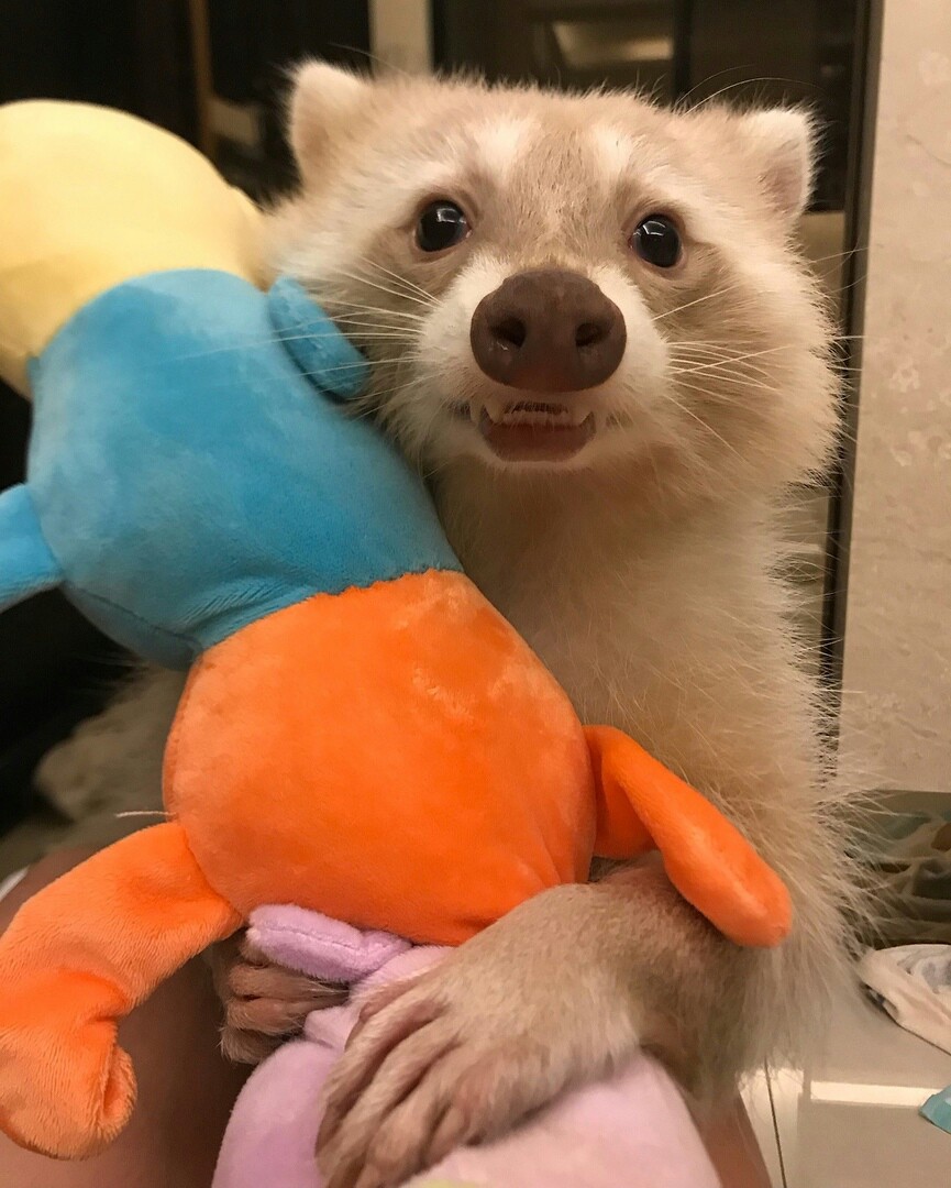 Забавные и прикольные фотографии из нашей жизни Забавные и прикольные фотографии из нашей жизни приколы,смешные картинки,угарные фотки,фото приколы