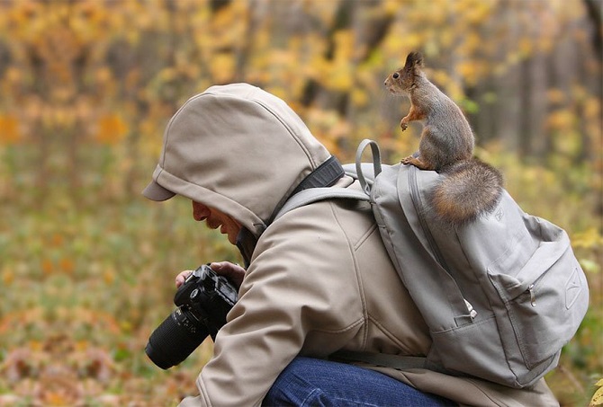 Почему фотоохота — самое лучшее занятие в мире?