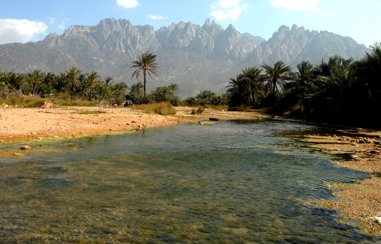 Путешествие на остров Сокотра Путешествие на остров Сокотра природа,Путешествия,фото