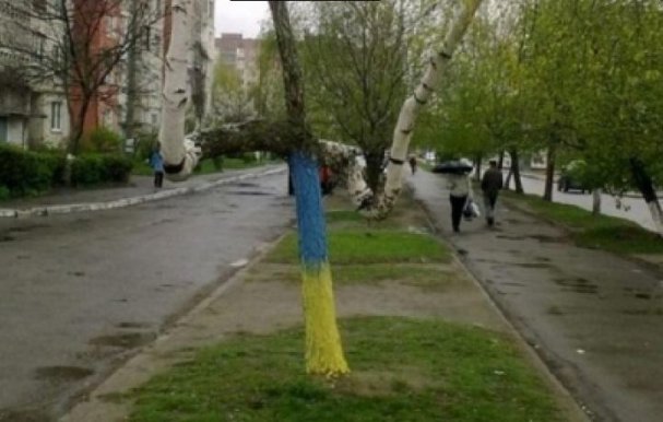 Украинские ученые: Береза и подорожник — доказательство экологической агрессии России