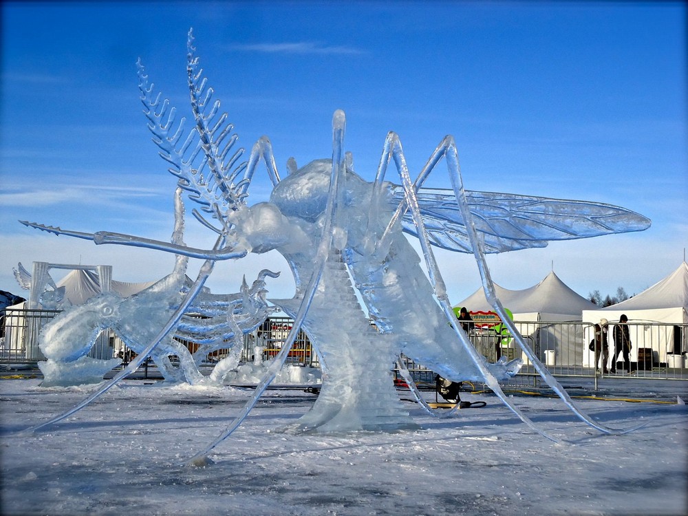 Подборка душевных фотографий Подборка душевных фотографий