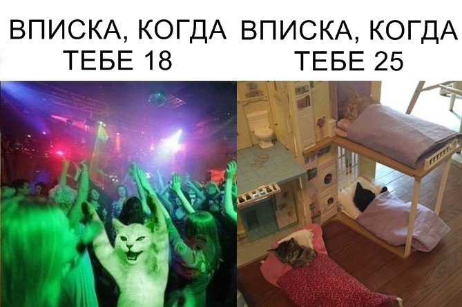 Фотоподборка вторника Фотоподборка вторника юмор