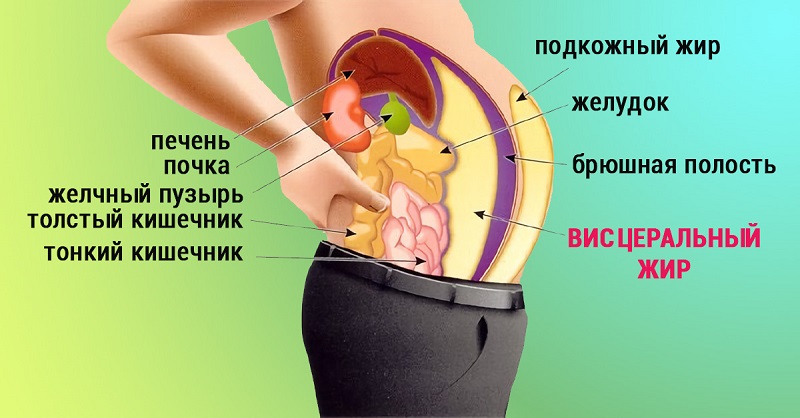 висцеральный жир как убрать