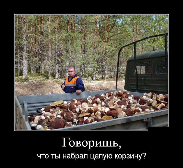 Пятничные веселые демотиваторы из нашей жизни для хорошего настроения Пятничные веселые демотиваторы из нашей жизни для хорошего настроения демотиваторы свежие,приколы,смешные демотиваторы,юмор