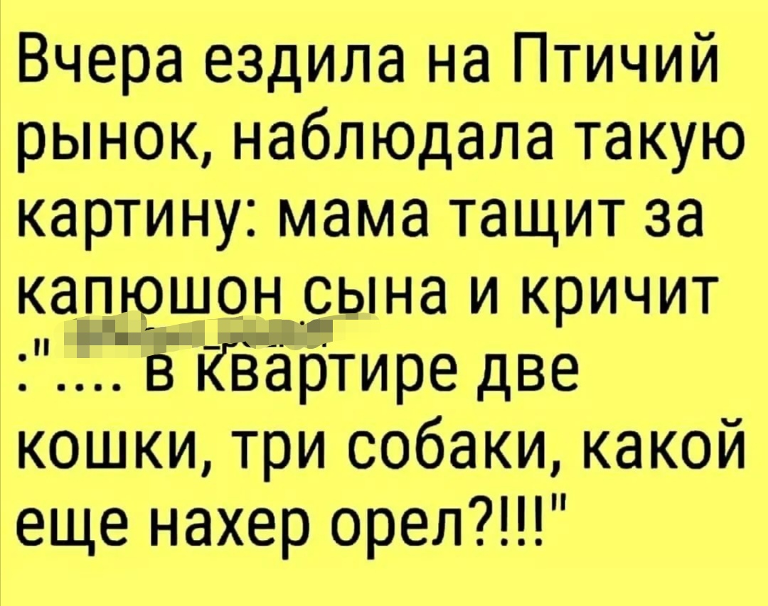 Шутки, анекдоты и забавности, способные поднять настроение 