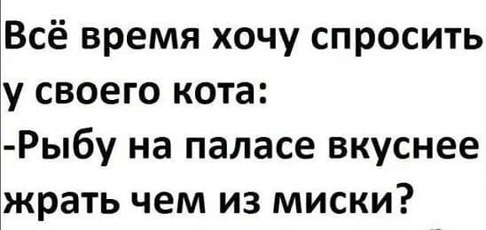 Если девушка говорит «Не трогай меня», то все-таки чуть потрогать можно. Это как знак 40 км, но вы же знаете, что можно ехать 60)) анекдоты