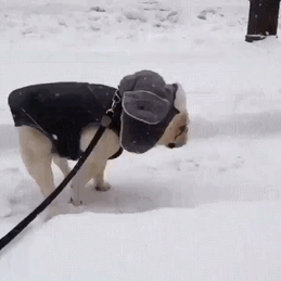 His First Time In The Snow