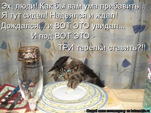 Котоматрица для всех позитив