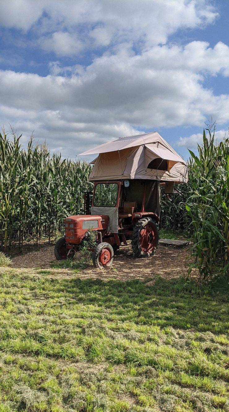 Подборка прикольных картинок Подборка прикольных картинок приколы,смешные картинки,юмор