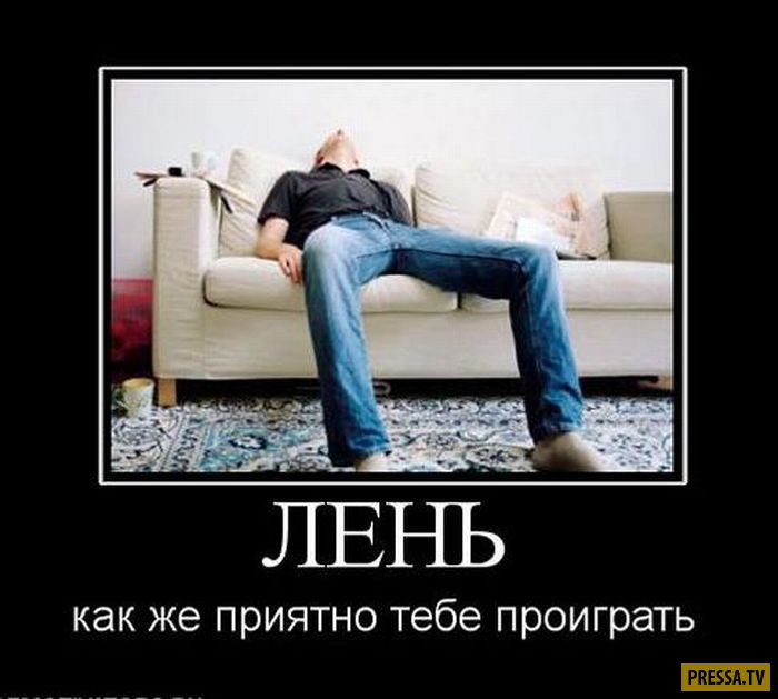 Смешные картинки про бездельников