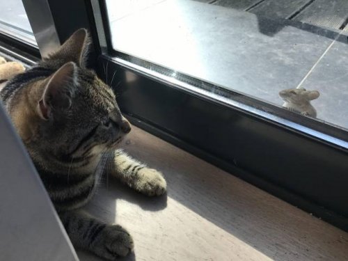 Подборка прикольных картинок, зашибись! Подборка прикольных картинок, зашибись! позитив