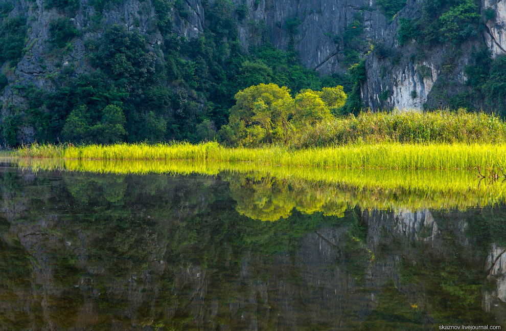 Заповедник водно-болотных угодий Ван Лонг Заповедник водно-болотных угодий Ван Лонг путешествия