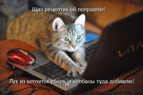 Котоматрица для всех позитив