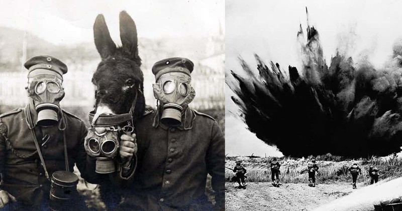 13 интересных фактов о Первой мировой войне великобритания, исторические факты, первая мировая, первая мировая война