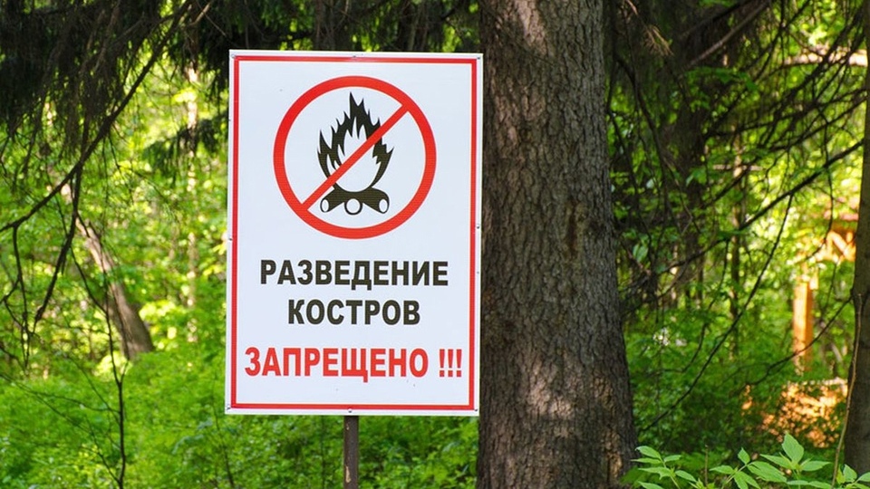 В Тверской области проходит федеральная информационная противопожарная кампания «Останови огонь!»