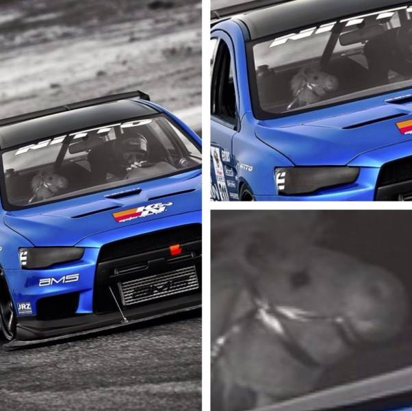 Подборка прикольных картинок  смешные картинки,юмор