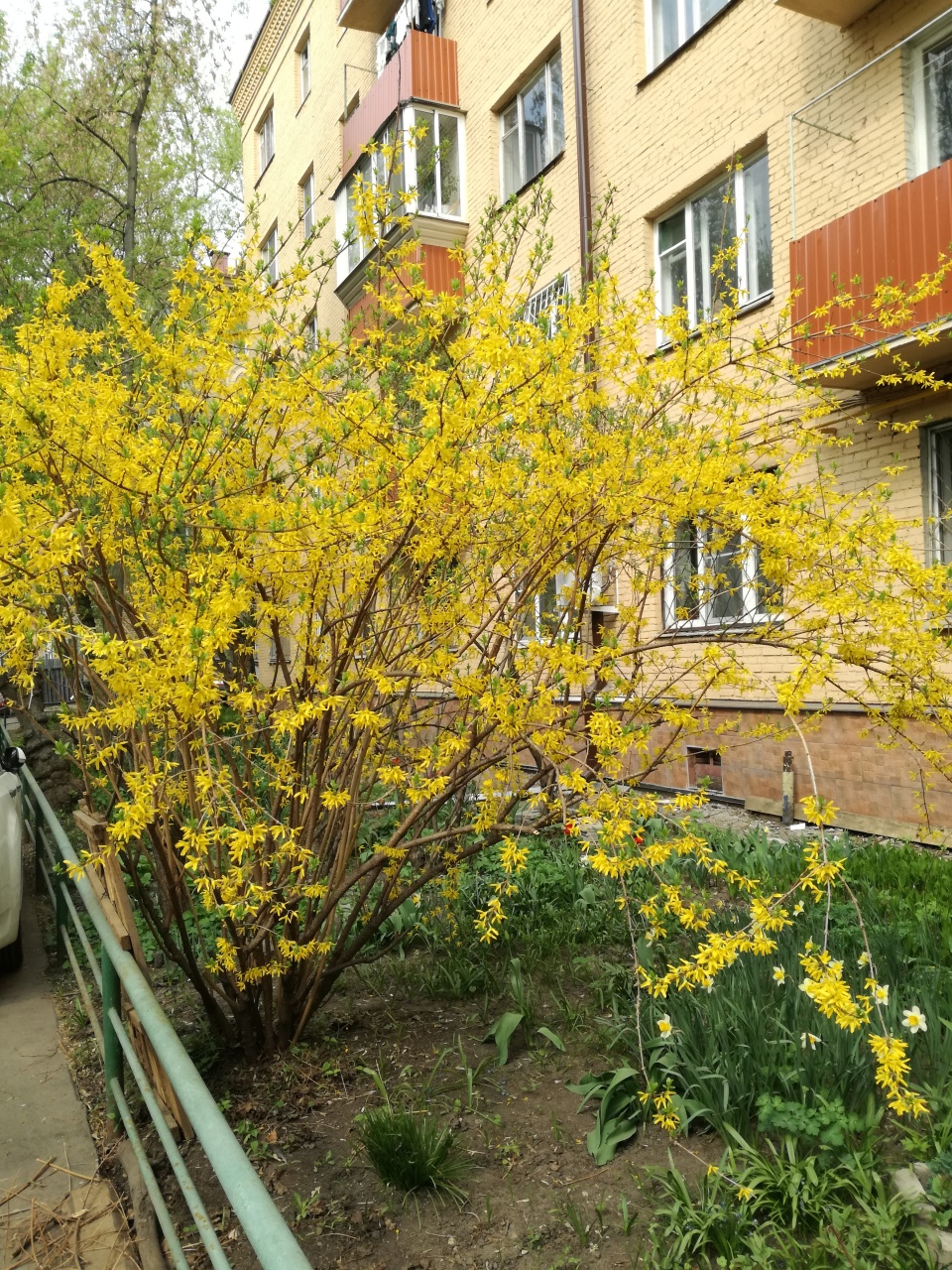 Красота своими руками.